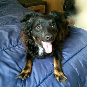 Meet your Posher, Gloria